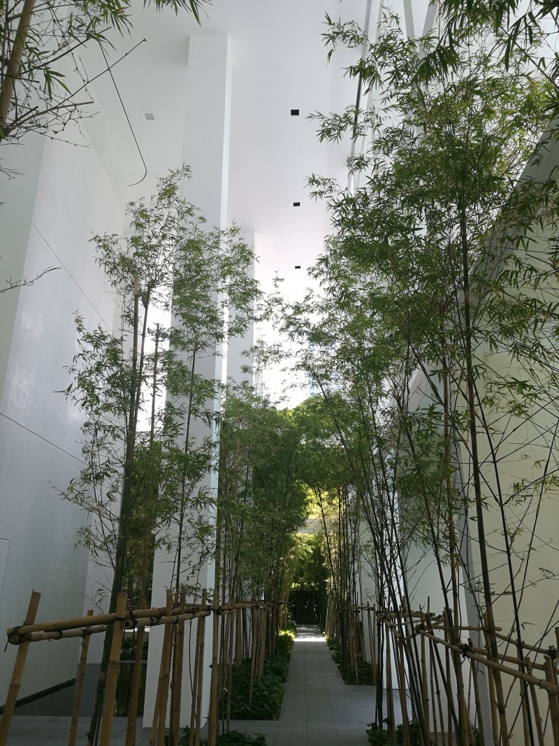 saporiti-italia_le-nouvel-ardmore-apartment-24-02_LNA-24-02-1-l