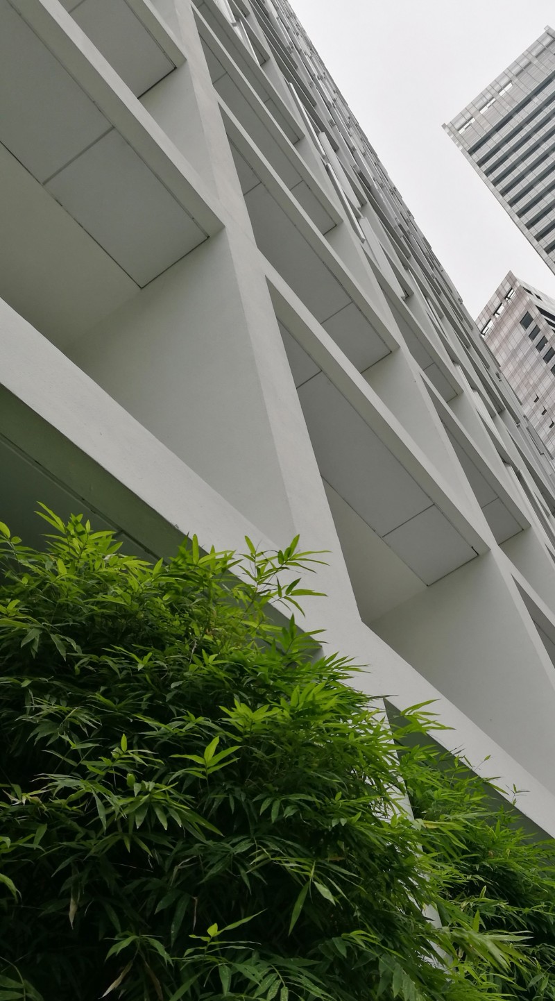 saporiti-italia_le-nouvel-ardmore-apartment-25-01_LNA-25-01-1-l