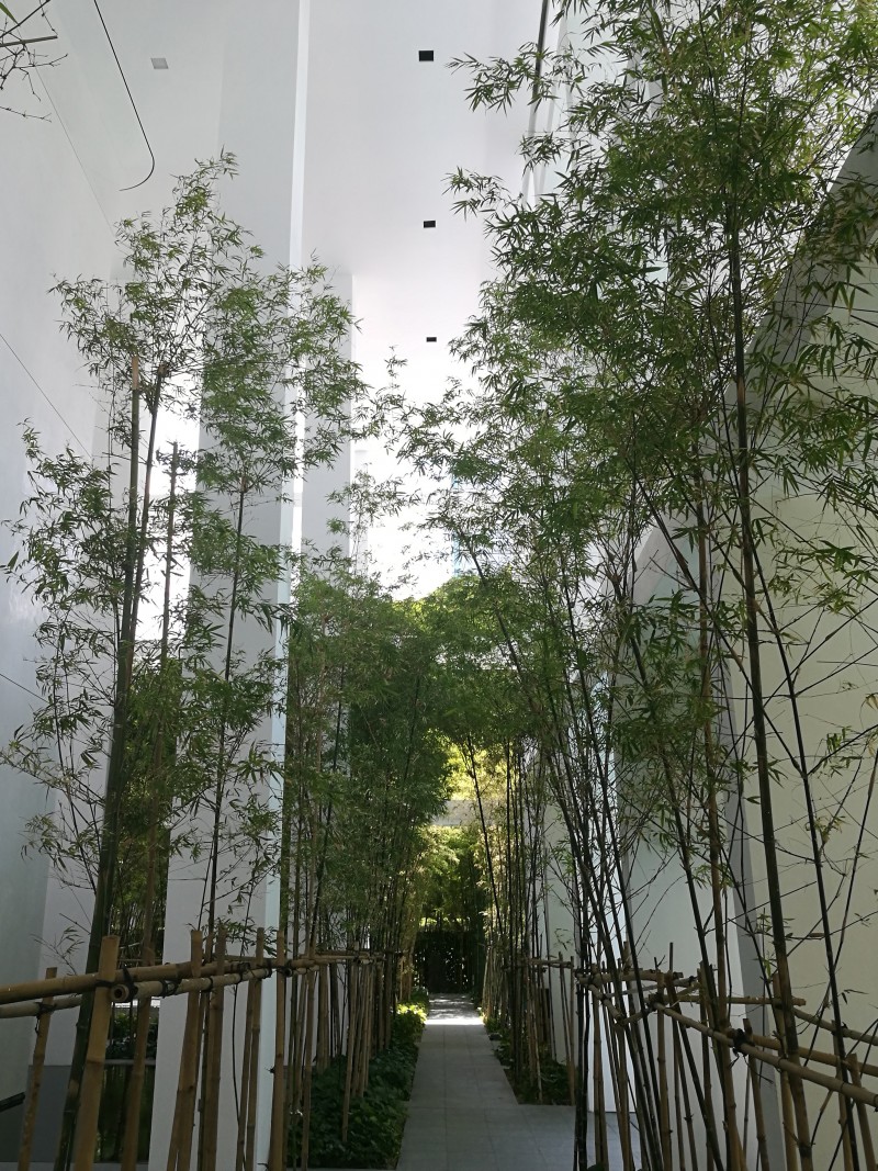 saporiti-italia_le-nouvel-ardmore-apartment-14-02_LNA-14-02-0-est-l