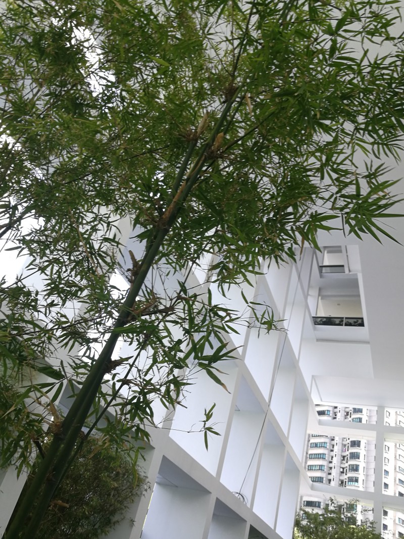 saporiti-italia_le-nouvel-ardmore-apartment-15-02_LNA-15-02-1-l